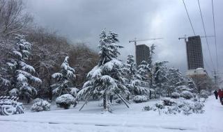 威海暴雪三天三夜