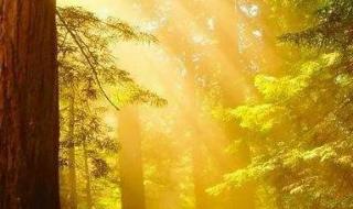 祖国各地第一缕晨光