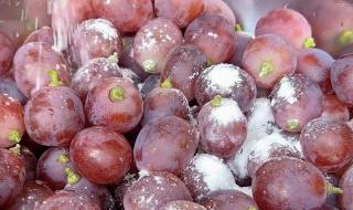 中国十大放心食用盐