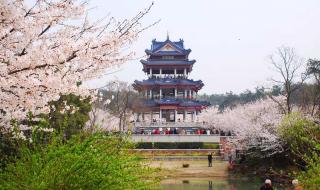 鼋头渚门票团购 鼋头渚门票团购