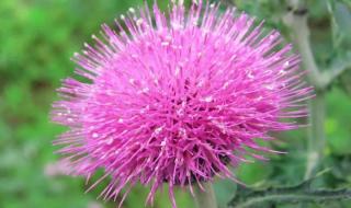 台风的名字怎么来的