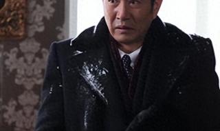 姚刚演过的电视剧