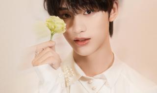 严浩翔17岁生日文案