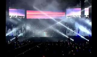 刘德华2010年演唱会