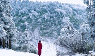 重庆仙女山旅游攻略