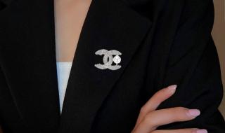 施华洛世奇胸针