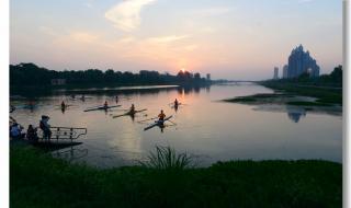 让我们荡起双桨舞蹈 让我们荡起双桨舞蹈