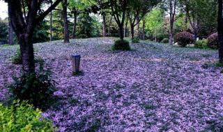 西安休闲娱乐场所