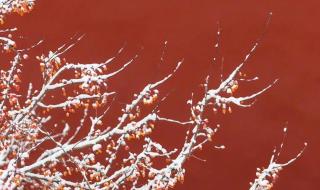 故宫博物院课堂笔记 故宫博物院课堂笔记