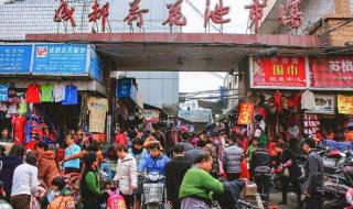 成都荷花池批发市场