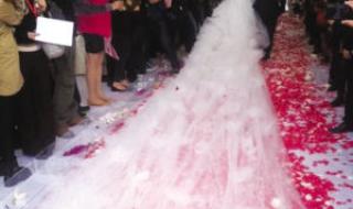 谢娜张杰婚纱照片 谢娜张杰婚纱照片