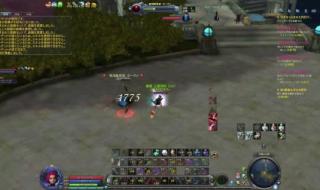 永恒之塔剑星装备