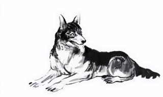 属鸡的人2014年运程