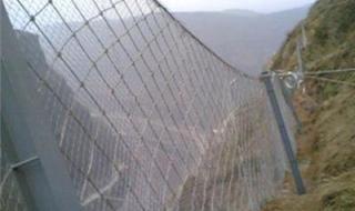 主动防护网厂家