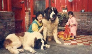 丹麦国家队世界排名 丹麦国家队世界排名